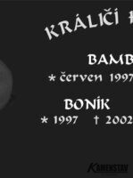 - kamenstav.cz