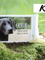 - kamenstav.cz